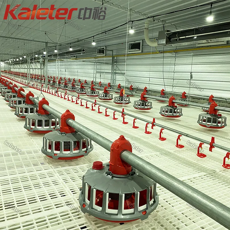 Hähnchen züchter Automatische Hähnchen-Feeder-Linie Automatische Broiler zucht Komplette Satup-Maschine für - Züchter Geflügel Ausrüstung - foodmachtech
